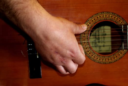 Guitar