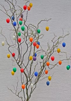 Easter bush
