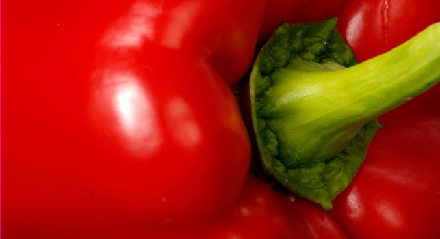 Paprika