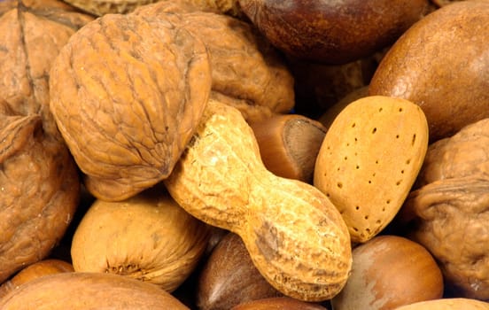 Nuts