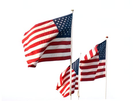 Flags