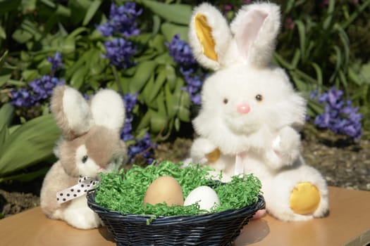 Easter Bunny