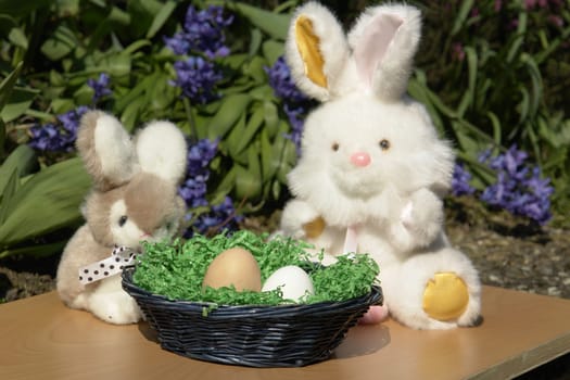 Easter Bunny2