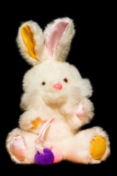 Cuddly bunny