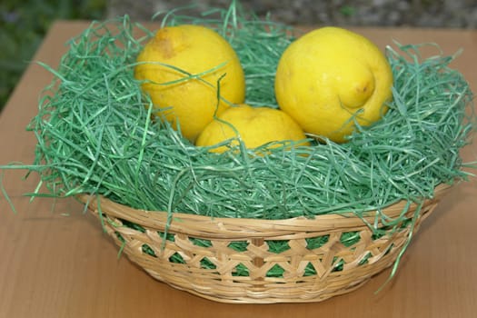 Easter basket with lemons