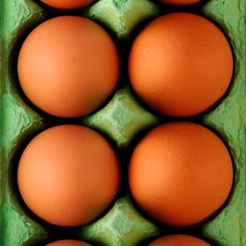4 eggs