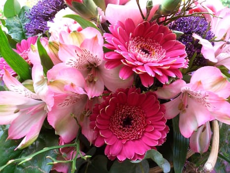 floral beauty