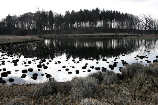 Moorsee