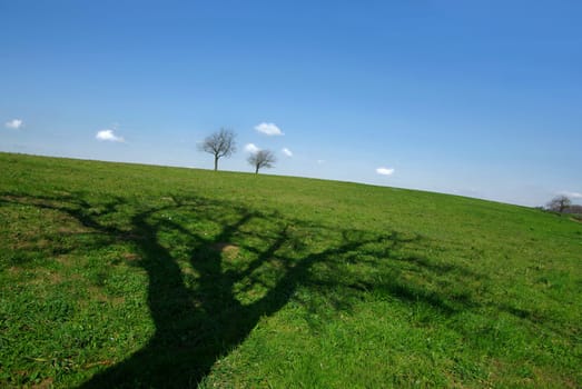 Shadow play