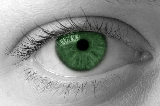 Green iris