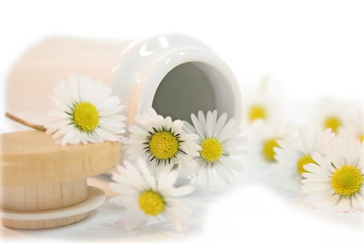 Daisy IV