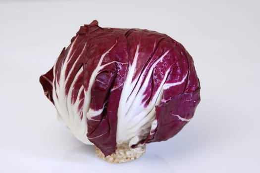 Radiccio