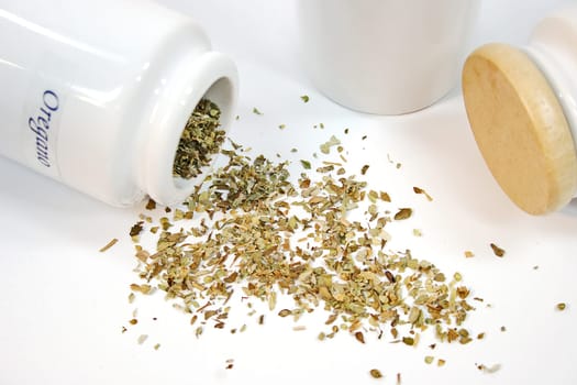 Oregano