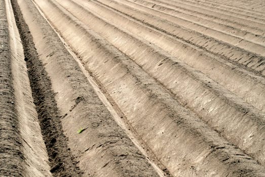 Agriculture....