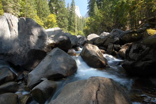 Yosemite National Park