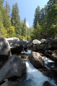Yosemite National Park