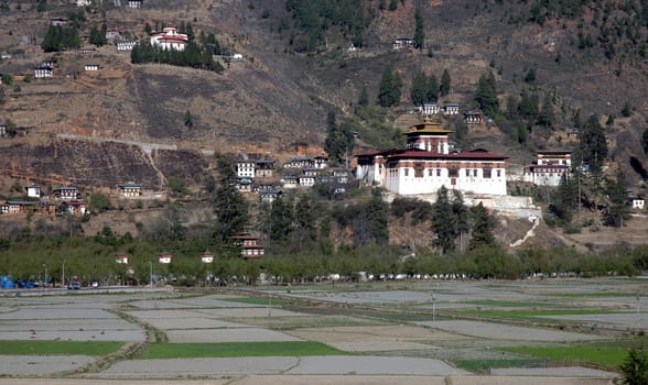 Paro (Bhutan)