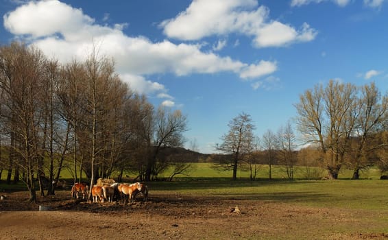 Today it was still quite nice from the weather and I was able to enjoy the country air around the corner after work....! From tomorrow it should rain again!
