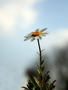 Sky worshippers