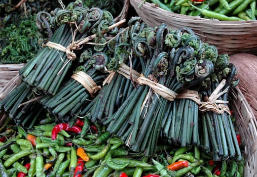 Chilies and fern,which is eaten as a vegetable in Bhutan. Tastes delicious...!!