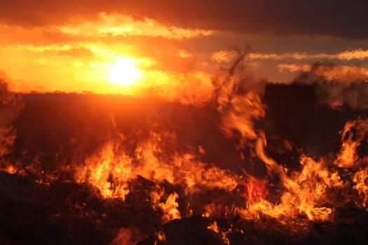 Easter Fire X
