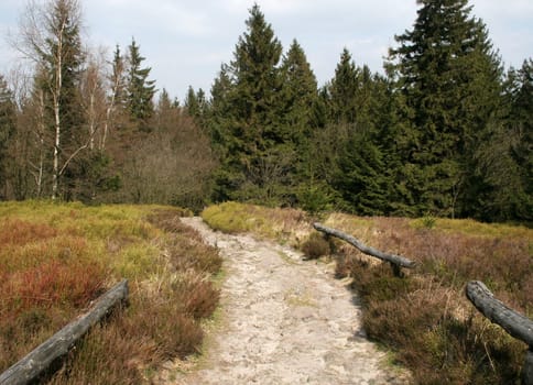 The Velmerstot with its twin summit is one of the most striking elevations in the nature park. The Lippische Velmerstot (441 m) and the Preußischer Velmerstot (468 m) are separated only by a flat saddle. Over this saddle once ran the lipp