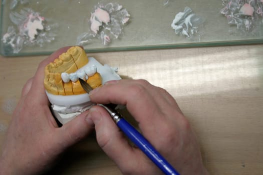Painting a tooth model