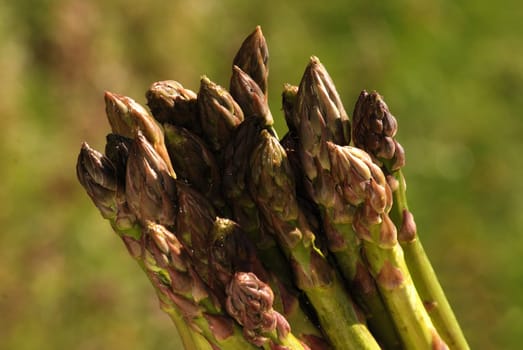 Green asparagus