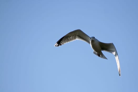 Approach