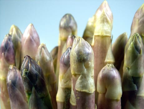 Asparagus tips