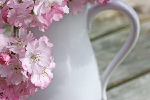 Floral still life