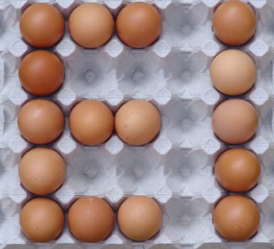 Egg