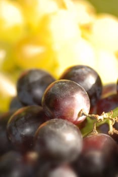 Grapes