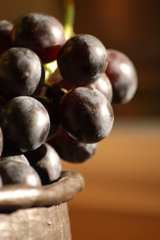 Bunches of grapes