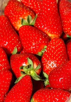 Strawberries
