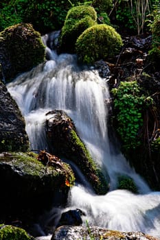 Torrent