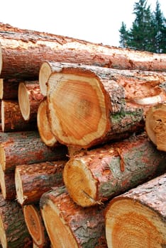 Logs