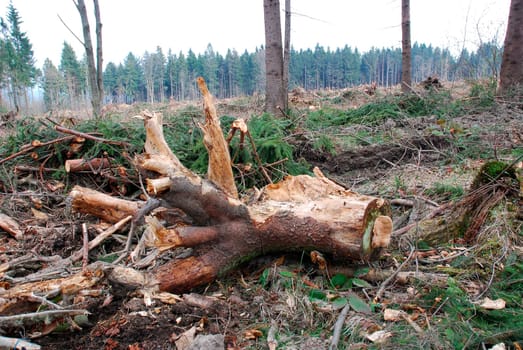 Storm damage