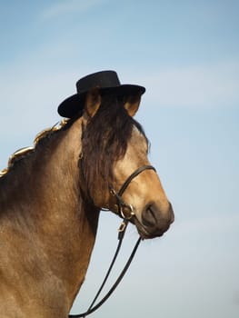 Esperanzador with hat