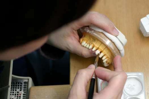 Tooth model of a jaw