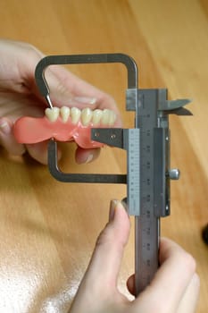 Tooth model of a jaw