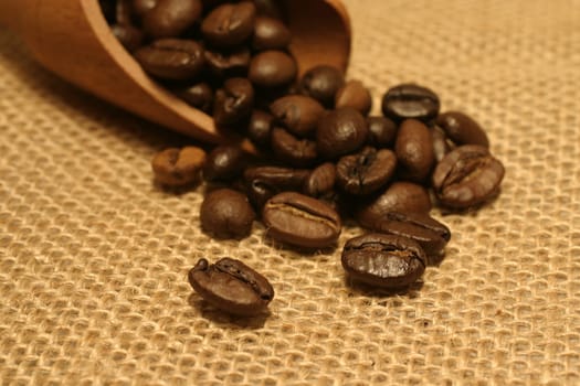 Coffee beans