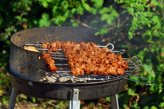 BBQ skewers