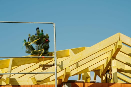 Topping-out tree