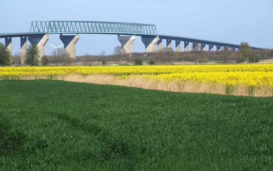 Bridge