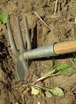 Gardening 1