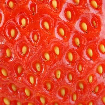 Strawberry structure