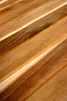 Teak (2)