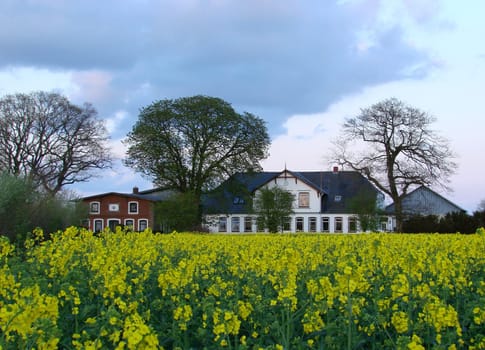 Farm in the evening light