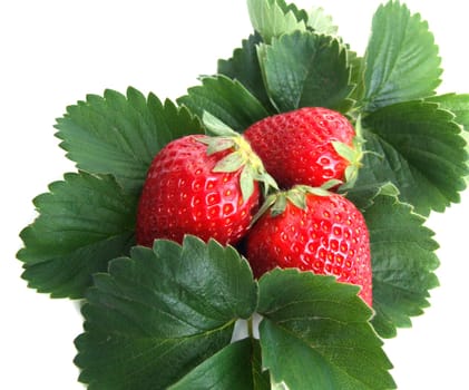 Strawberries